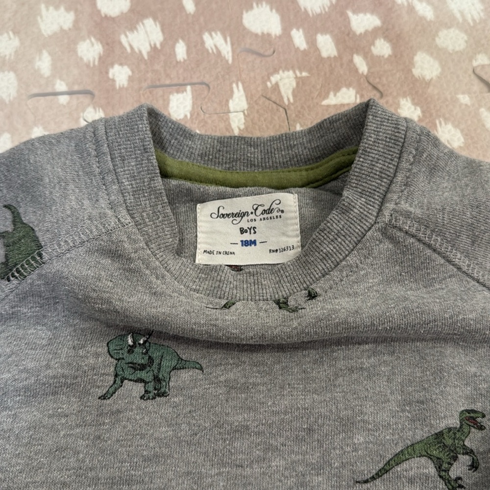 Sovereign Code Boys Dinosaur Sweatshirt Gray Size 18M - Picture 2 of 11
